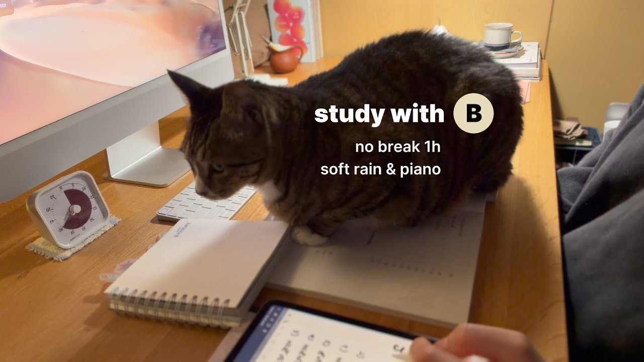 1h study with meㅣcalm, focus, no break, soft rain & pianoㅣFeb 6