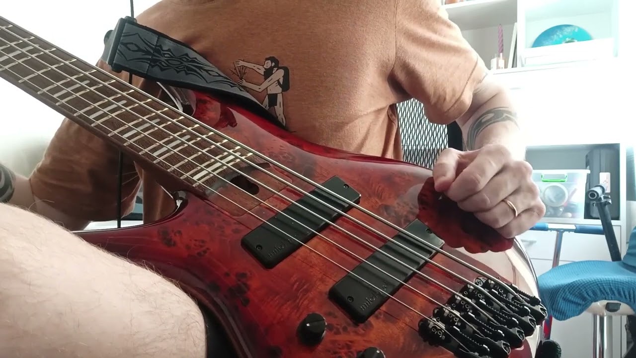 Ibanez SRMS805