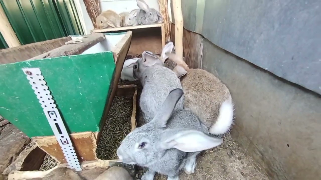 МММысли нехорошие