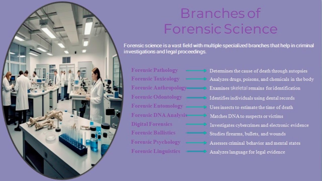 Branches of Forensic Science