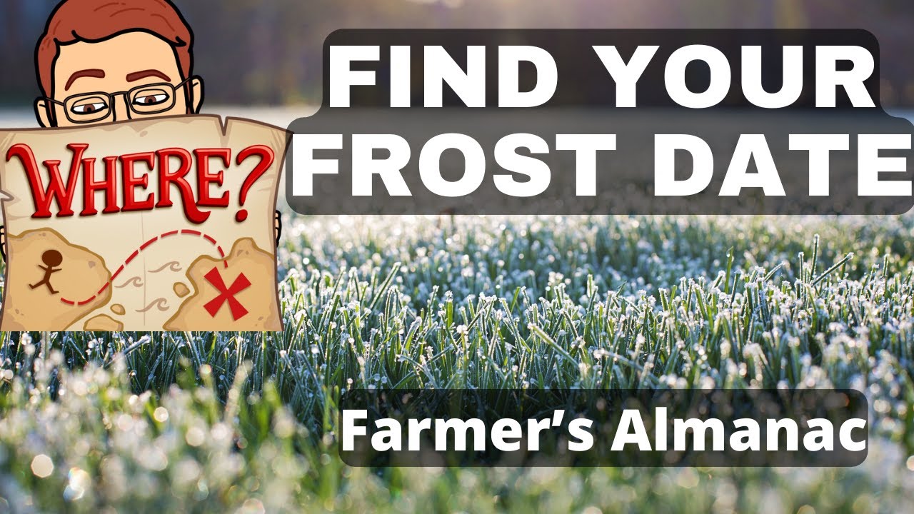 How to Find My Frost Date | Farmer's Almanac
