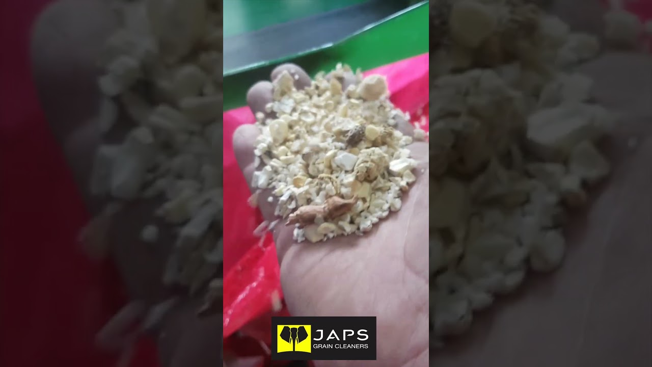 JUMBO Grain Cleaner Removing Crush and Kankerroos