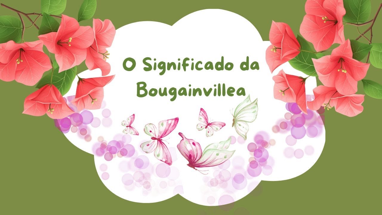Bougainvillea: O Significado Que Mudou Meu Jardim
