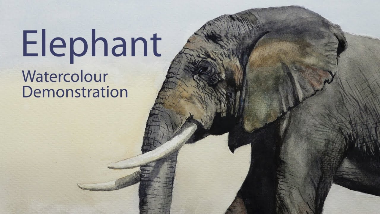 How to paint an Elephant - Watercolour painting demonstration