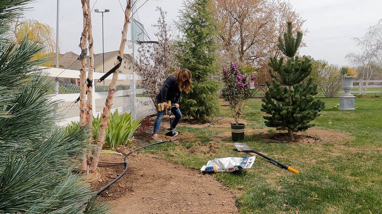 Planting a Pineapple, Crabapple & Lilac + New Obelisks for the Raised Beds! 🍍😍🌿 // Garden Answer