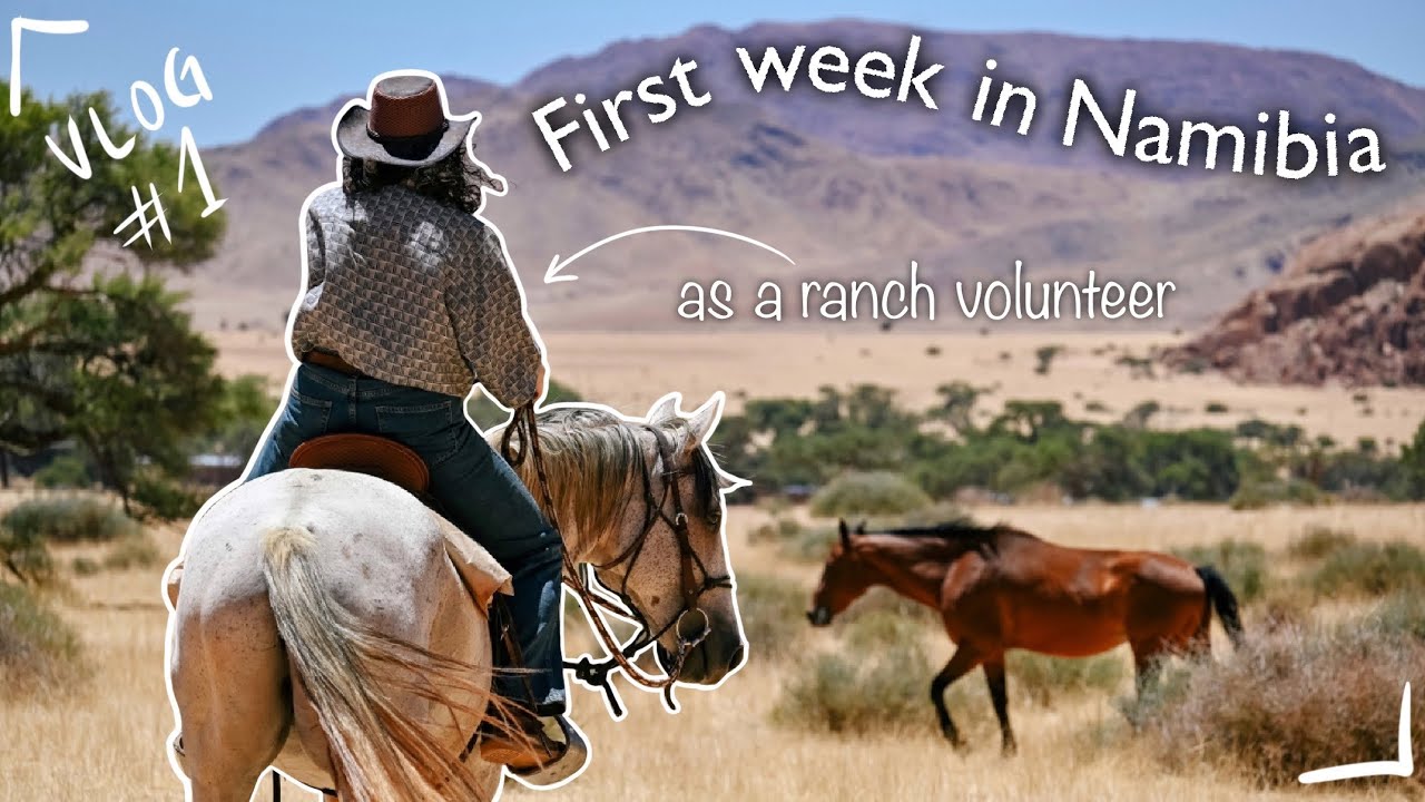 First week as a ranch volunteer in the desert - Namibia vlog #1