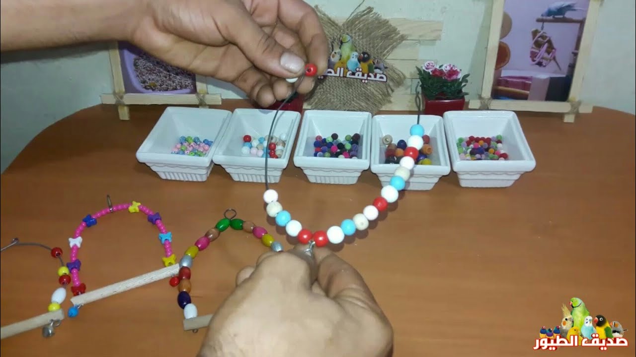 كيف تصنع مرجوحة والعاب لطيور الزينة بكل سهولة