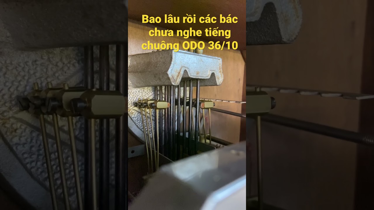 Vẫn lu&ocirc;n l&agrave; tiếng chu&ocirc;ng hay nhất - ODO 36/10