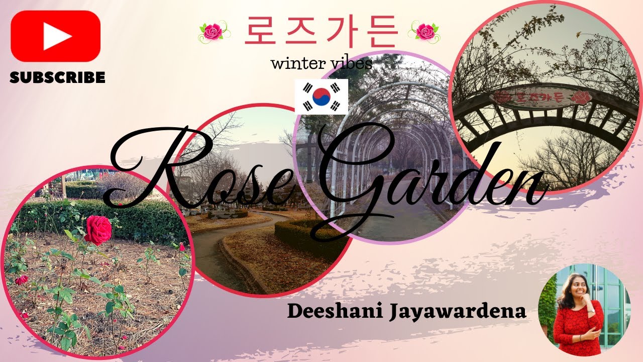 Rose garden in South Korea | Winter vibes in South Korea | 로즈가든 경기도 시흥시 정왕1동 | 안산 역