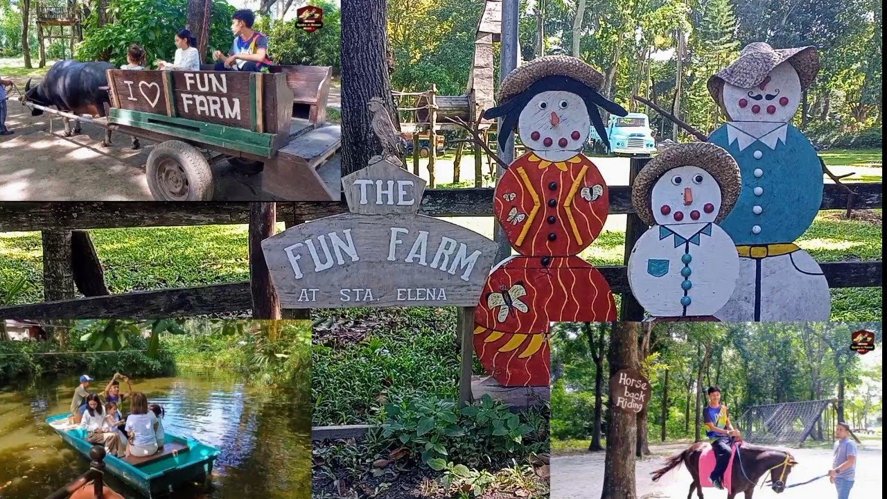 THE FUN FARM l Sta Elena Cabuyao Laguna