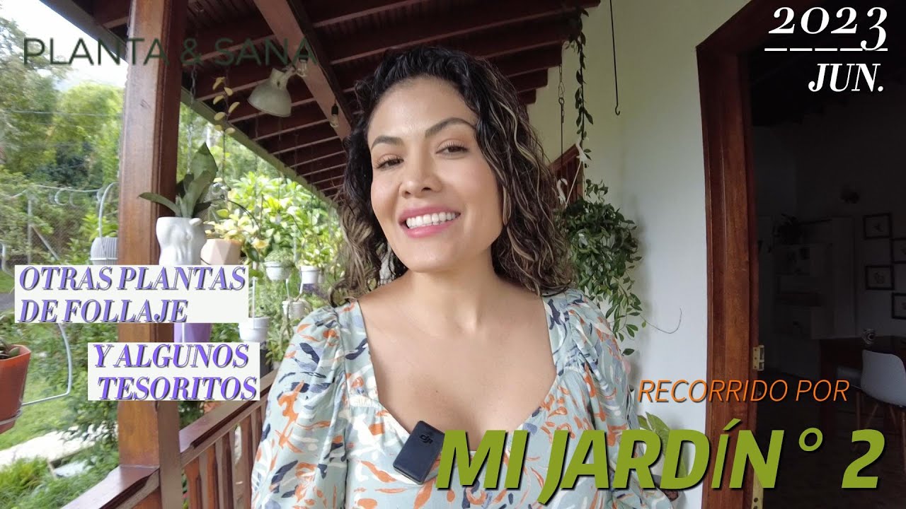 UN TOUR POR ALGUNAS PLANTAS DE MI COLECCIÓN DE FOLLAJE, LES MUESTRO ALGUNOS DE MIS TESORITOS