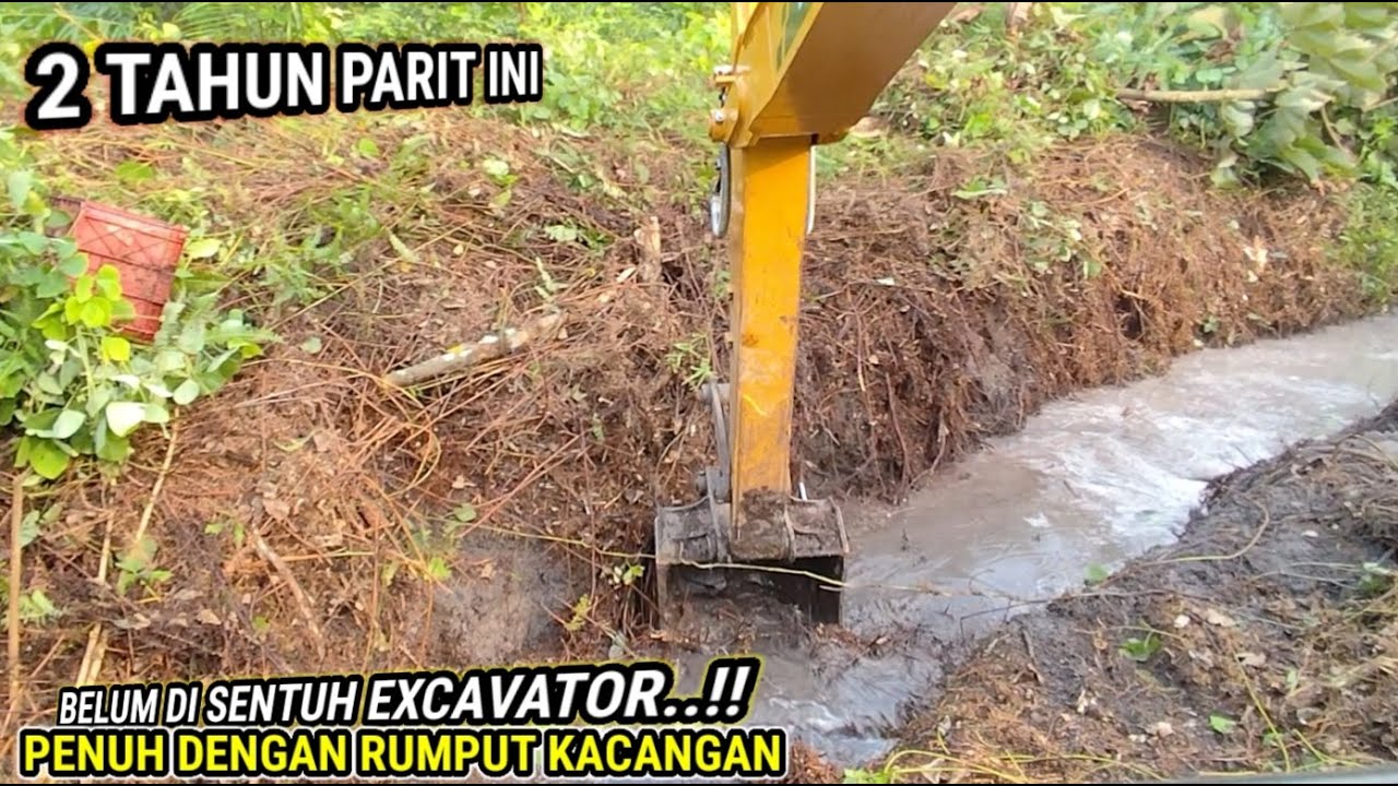 Cuci parit semak di selimuti rumput kacang kacangan yang membuat air tak mengalir