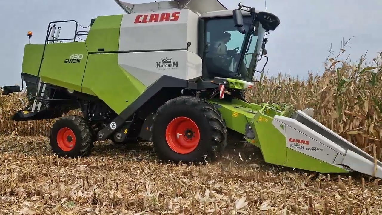 Claas Evion 430 Kukurydza 2024