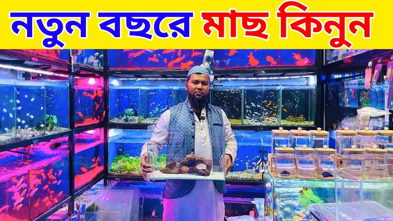 Aquarium Fish Price in Bangladesh Aquarium Price In Bangladesh 2026 Aquarium Fish Price in katabon