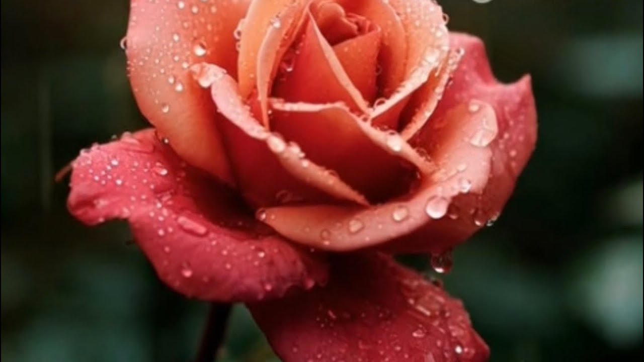 Relaxing piano rain sounds for good mood and sleep instant result 
