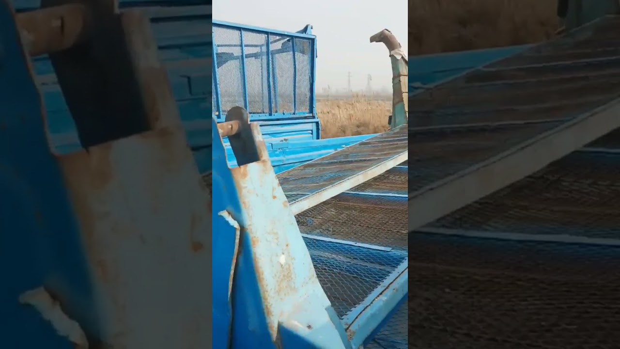 Тиличкалар сотилади бухоро вилояти олот туманида телефон 907452027