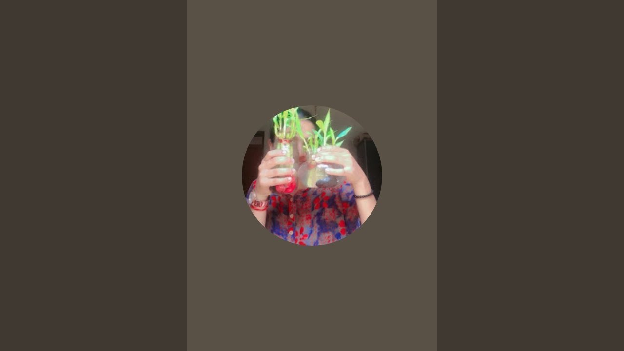 @sadhvi's creativity 03 is live