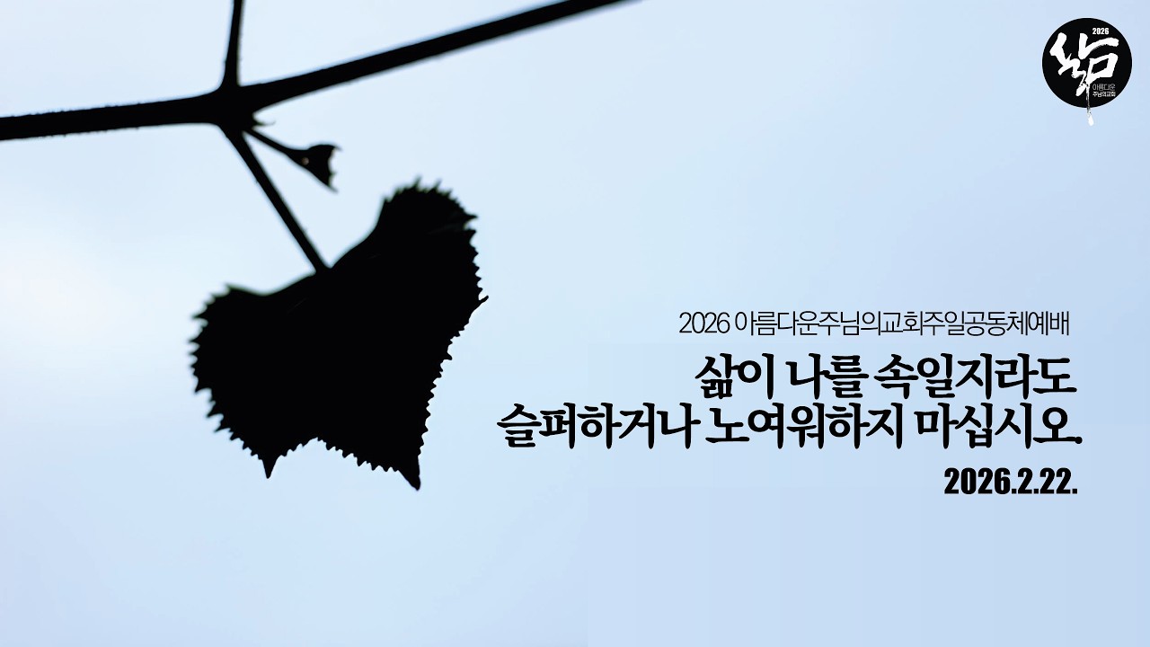 사도행전묵상일기 129, 삶이 나를 속일지라도 슬퍼하거나 노여워하지 마십시오.