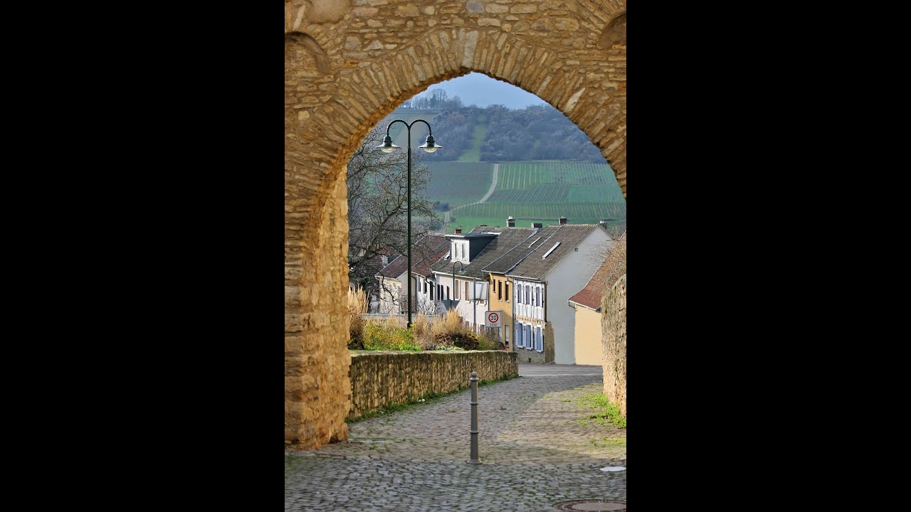 Ingelheim am Rhein, Germany