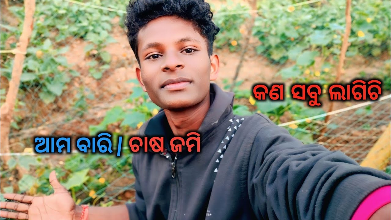 ଆଜି ଦେଖନ୍ତୁ ଆମ ବାରି🏜️ /  ଛୋଟ ପନି ପରିବା ଜାଗା🏞️🍋🌽🍌🍑#lifestyle 
