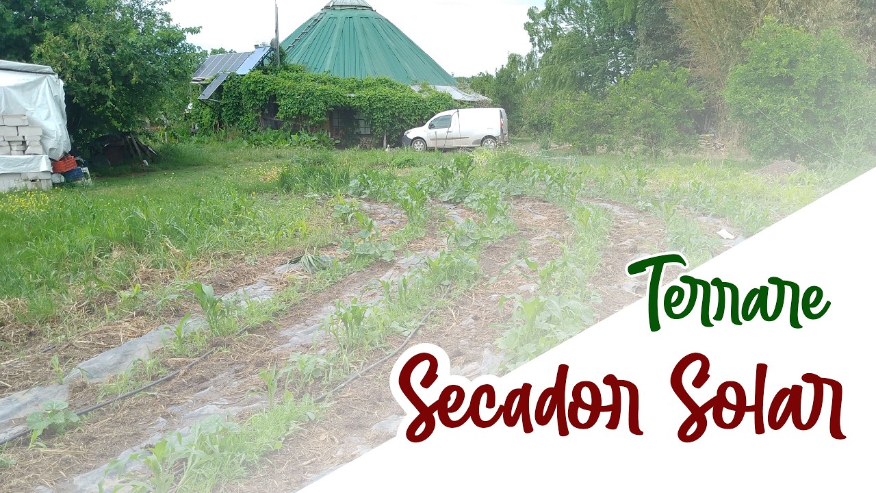 Secadero Solar en Terrare - Parte 01