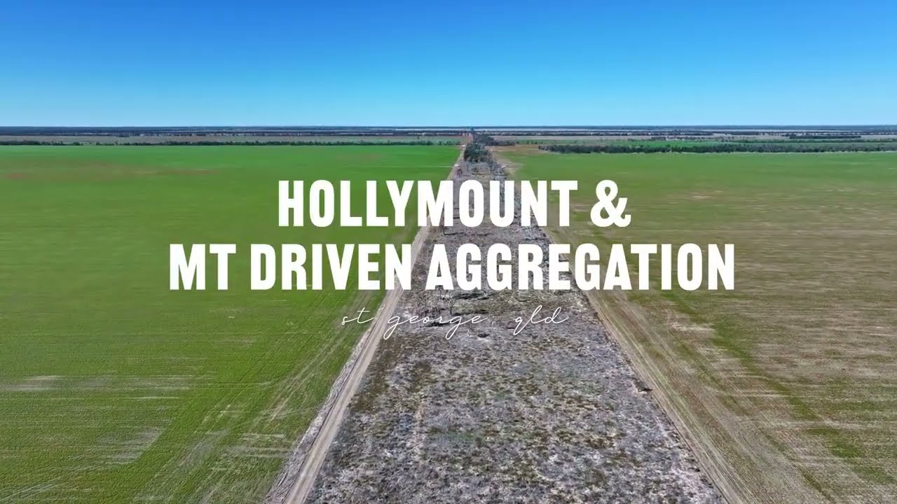 'Hollymount and Mt Driven' Aggregation, St George, Qld