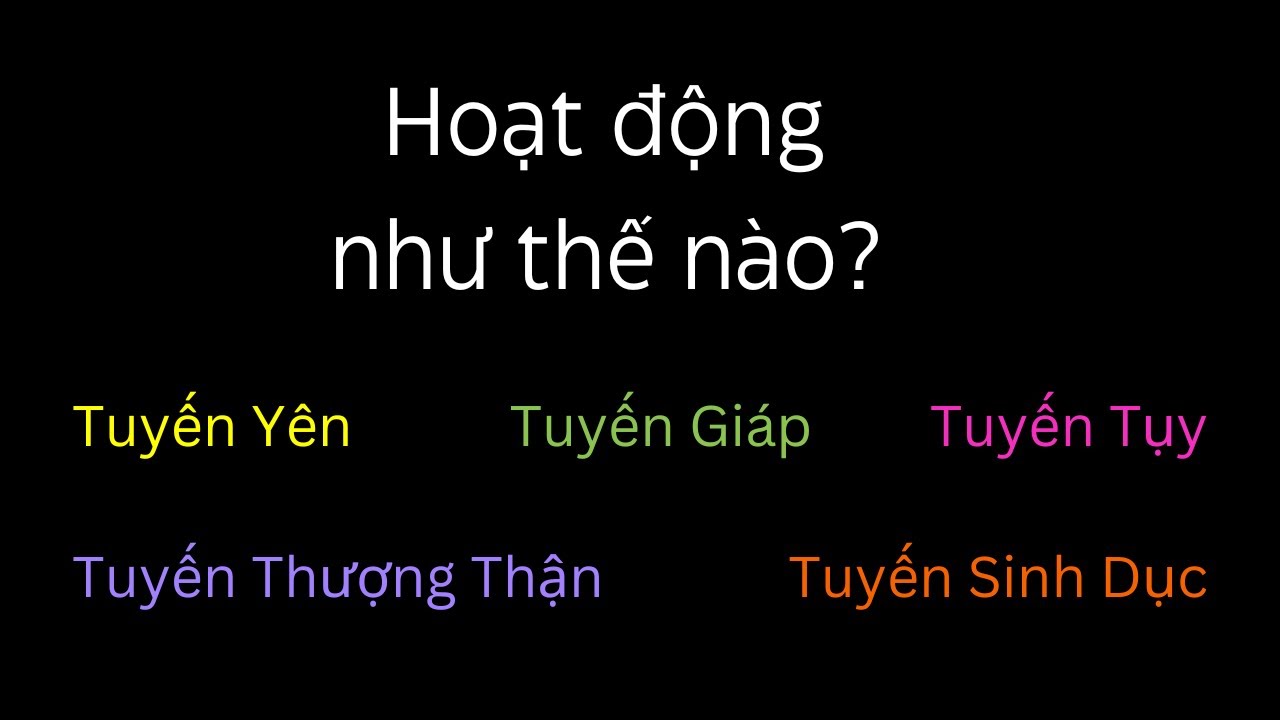 Hệ Nội Tiết hoạt động như thế n&agrave;o? - Sinh Học - tập 33 | Tri thức nh&acirc;n loại