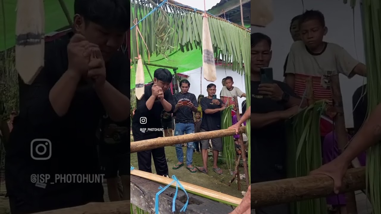 acara pernikahan suku dayak#punanhowongan#fyp