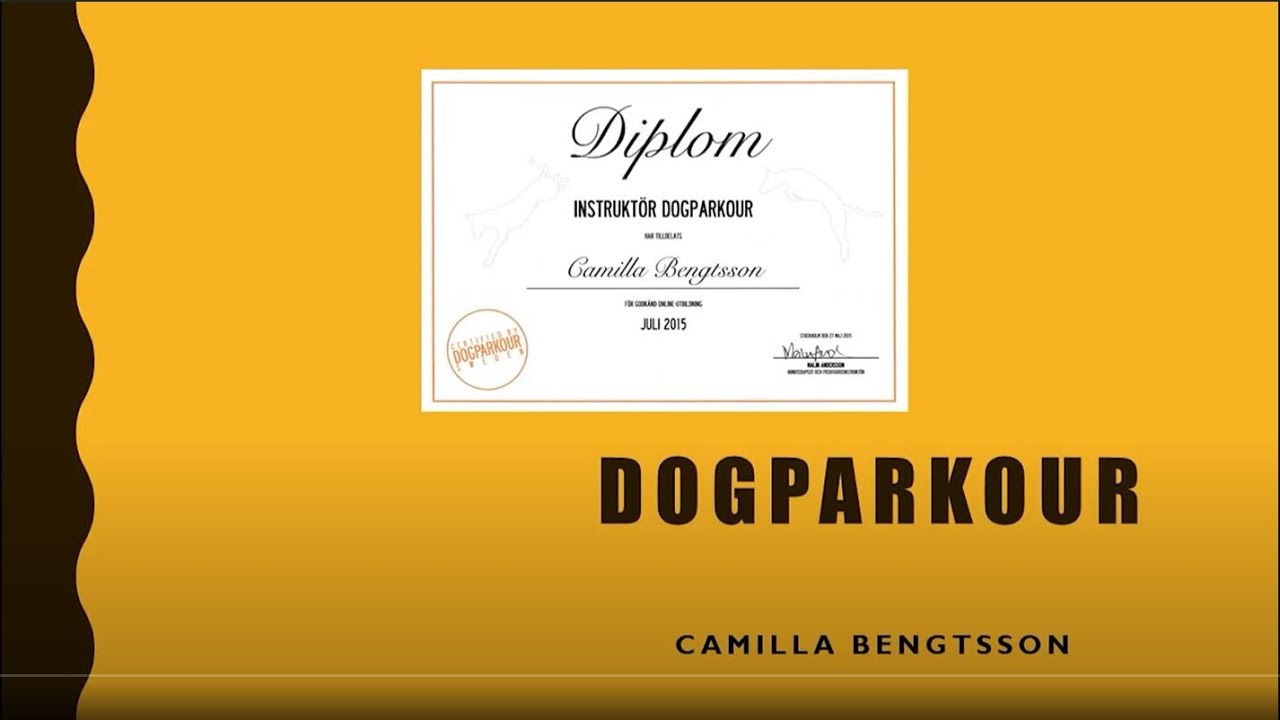 Dogparkour