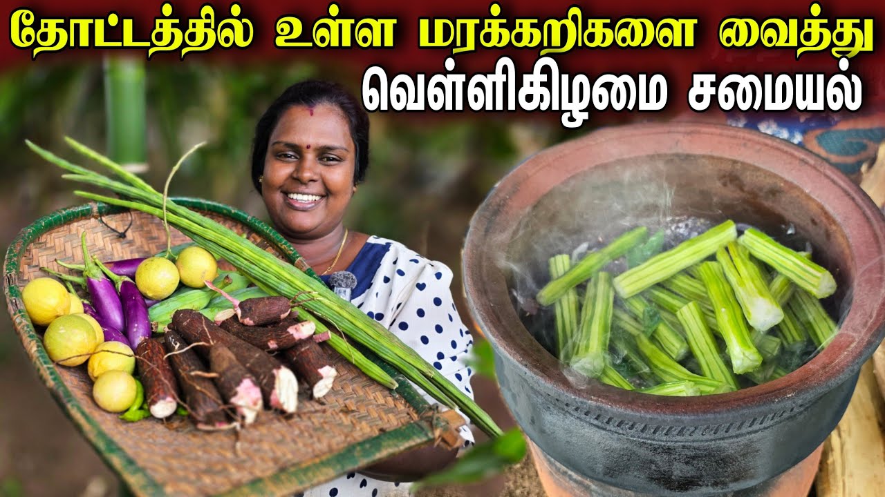 தோட்டத்து மரக்கறிகளில்  சுவைமிக்க இண்றைய சமையல் | Village life ♥️ | vanni vlog 