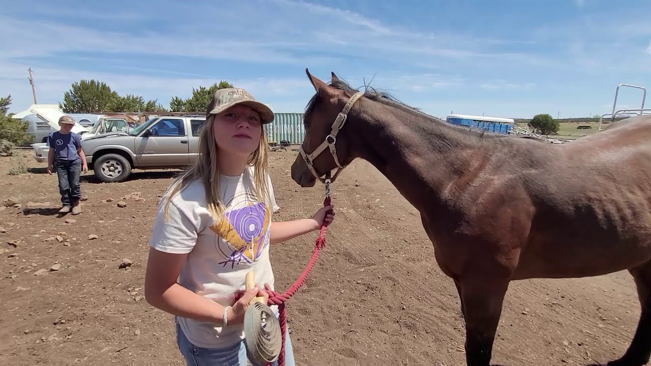 She’s Finally Ready… Ruthie Starts Taming Our Favorite Filly!