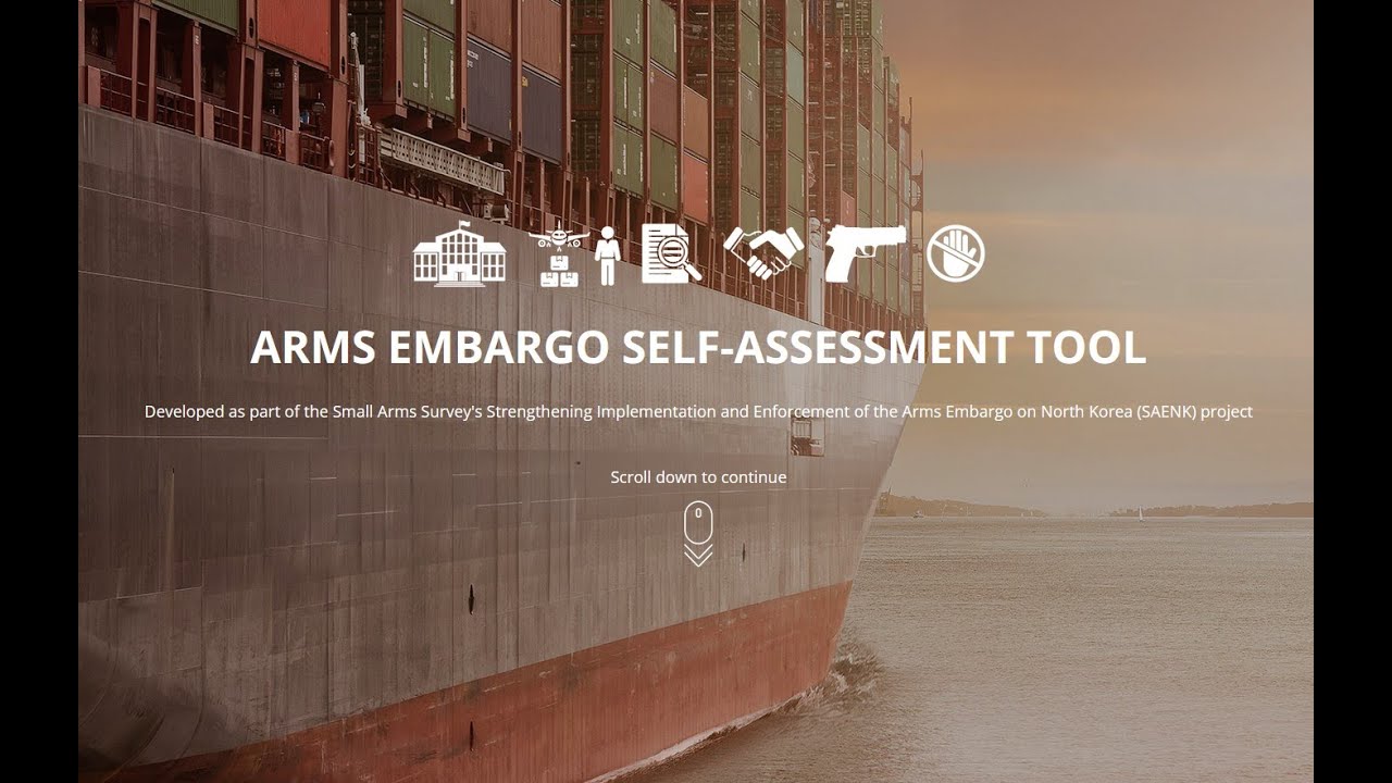 The Arms Embargo Self-Assessment Tool