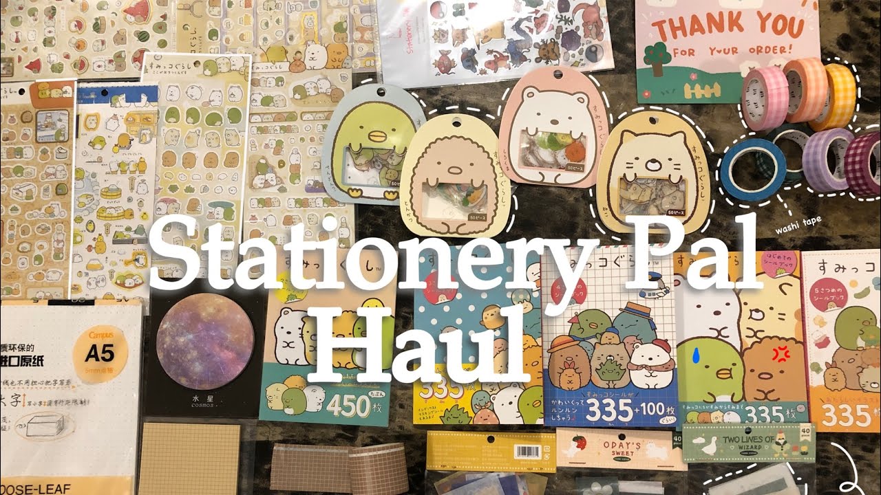 Stationery Haul ft. Stationery Pal 2022 // CavianGuardian