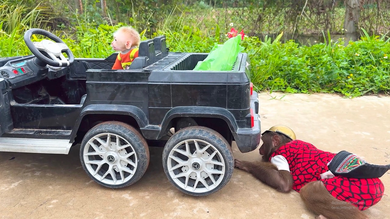 Uh Oh! CUTIS Faces Trouble with Supercar at the Market