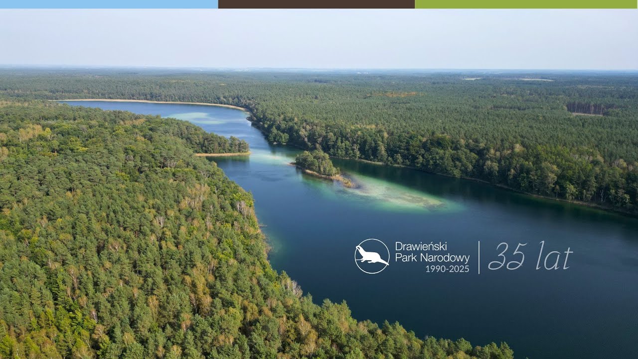 Drawieński Park Narodowy – Kraina lasów i wód. 🌲💧