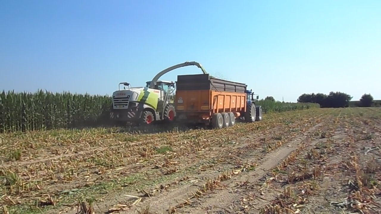 AZIENDA AGRICOLA MARTINI: [GoPro] Insilato Sorgo 2016