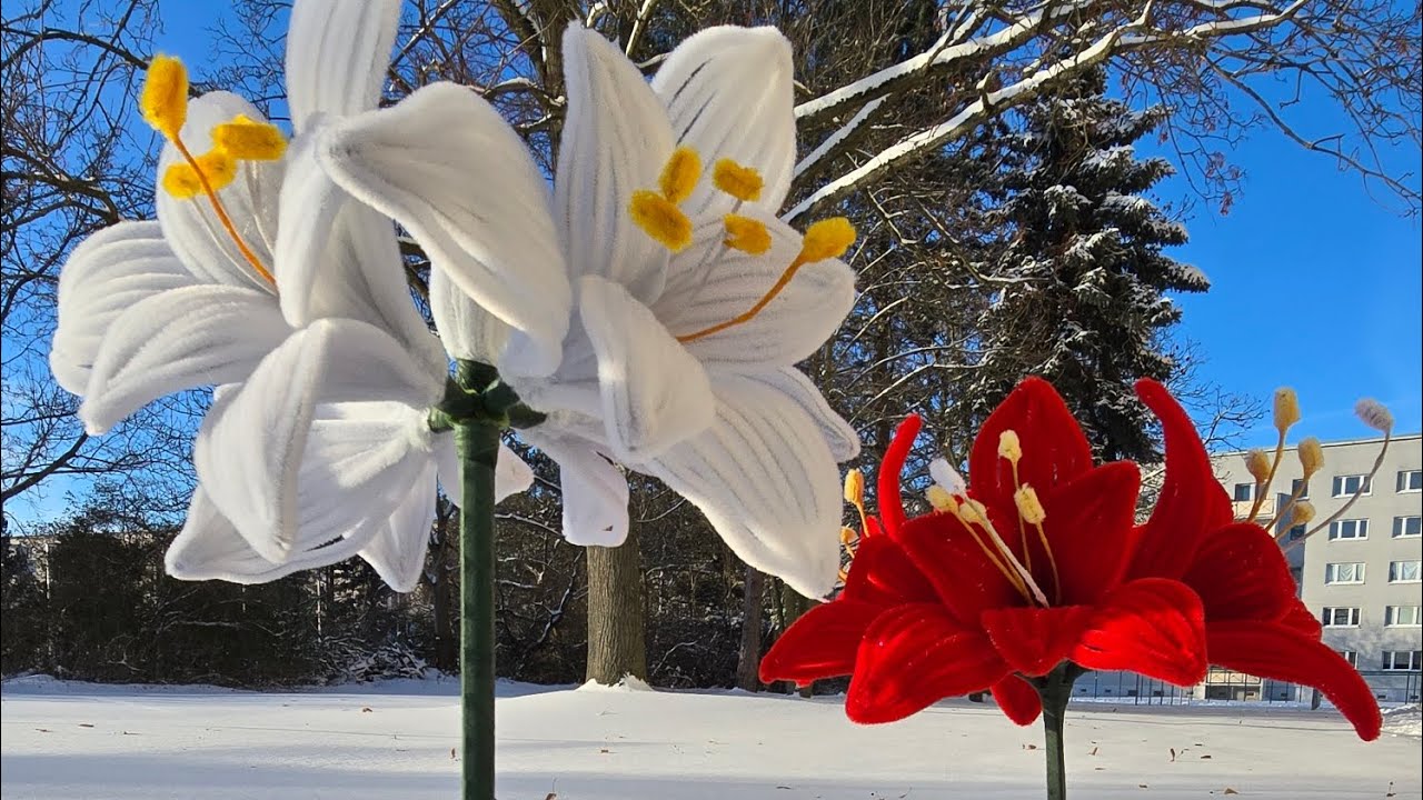 DIY Amaryllis Tutorial| Easy & Beautiful Flower Decoration.Amaryllis basteln#amaryllis #pipecleaner 