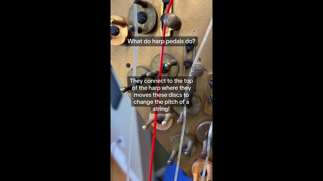 What do harp pedals do?