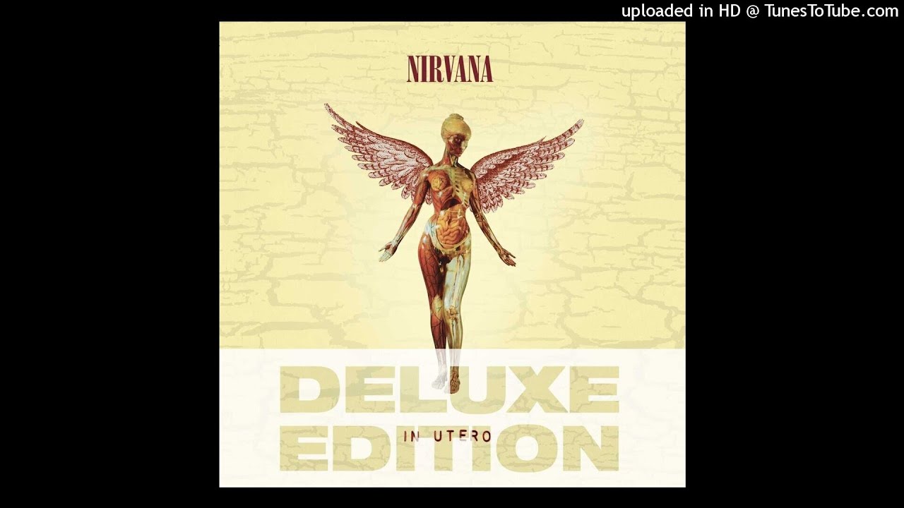 Nirvana - Moist Vagina (Bass Only)