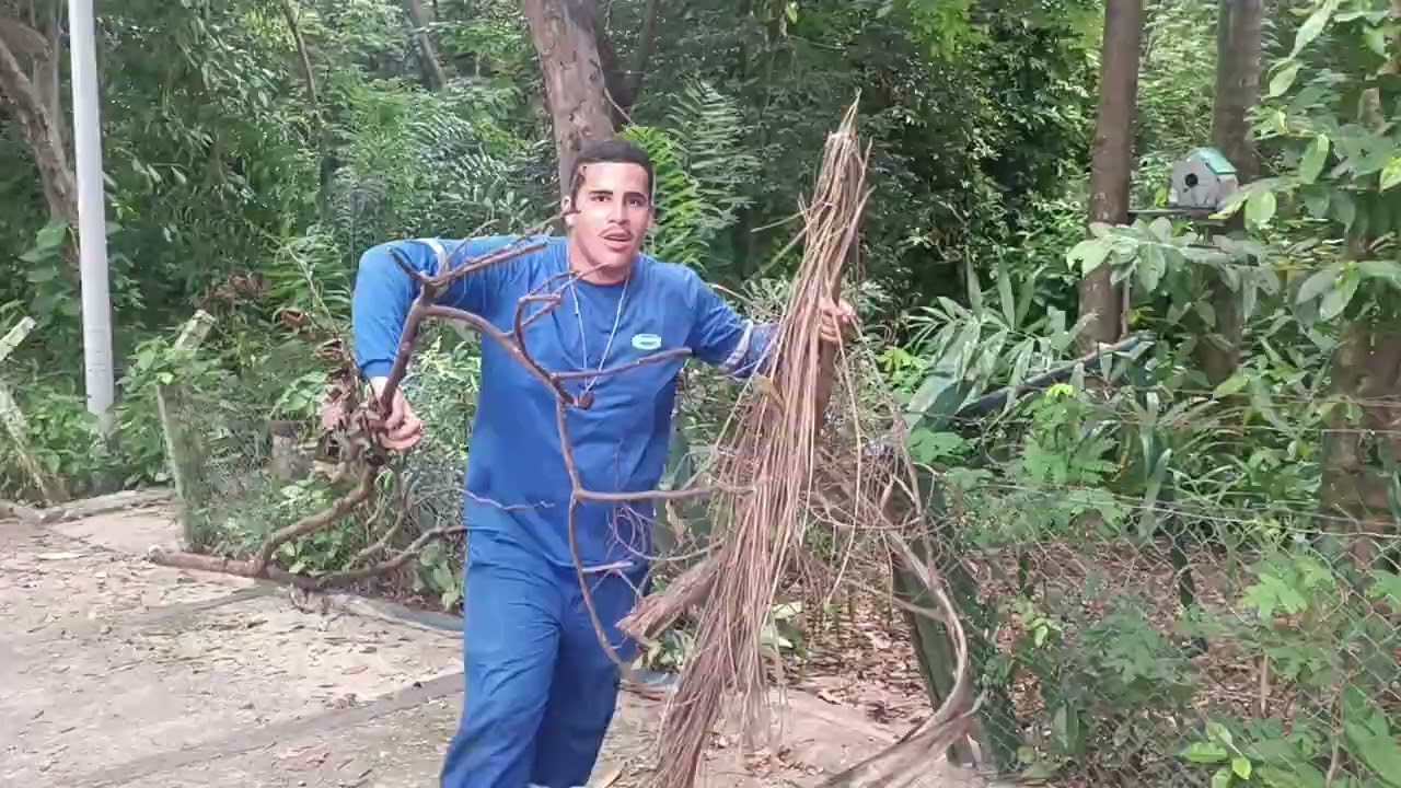 Toninho da máquina trabalhando em prol da natureza fauna flora e vidas de Campinas Brasil e do mundo