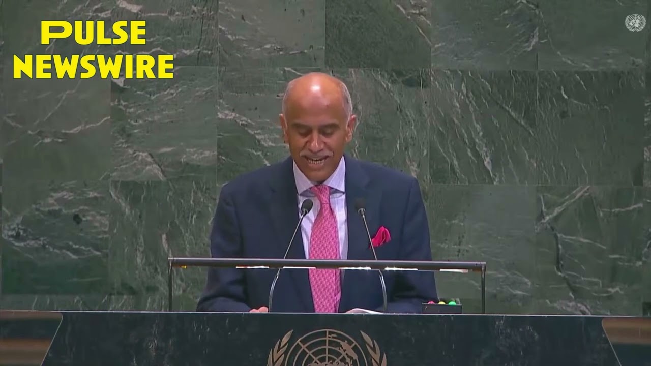 India Slams Pakistan At UN, Demands Real UN Security Council Reform | PulseWire News