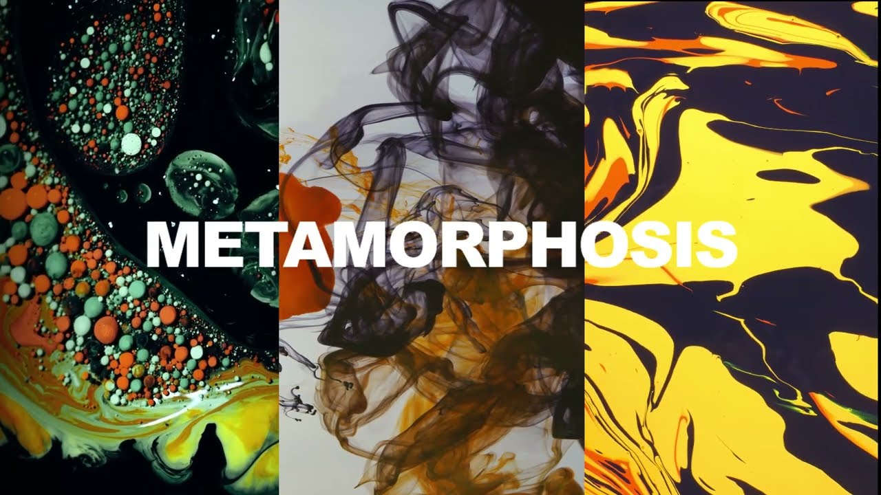 METAMORPHOSIS COLLECTION - Creative process