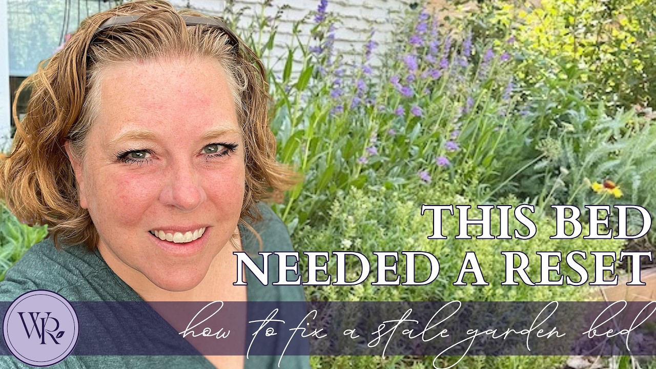 How to Move Plants & Refresh an Overgrown Garden Bed (Easy Garden Renovation) #gardeningtips #garden