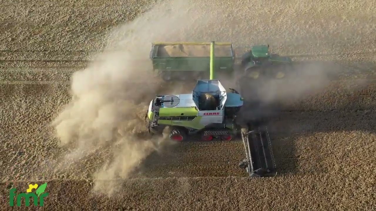 Geringhoff Truflex 40' head doing the job in barley.