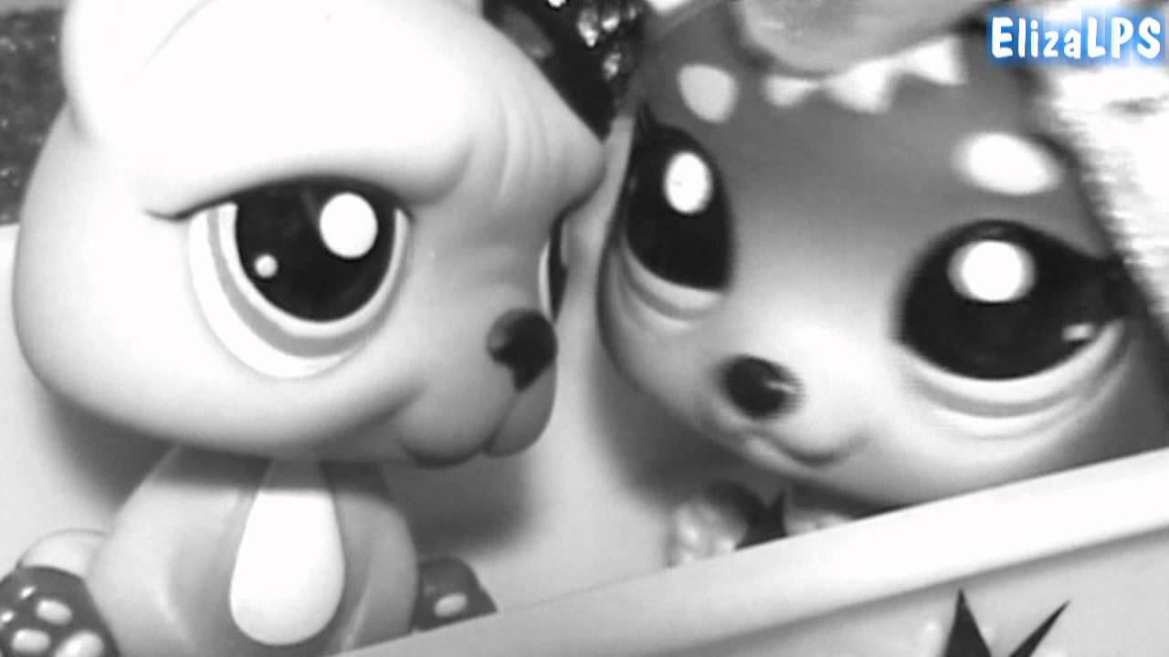 Littlest Pet Shop: King of Anything ♬