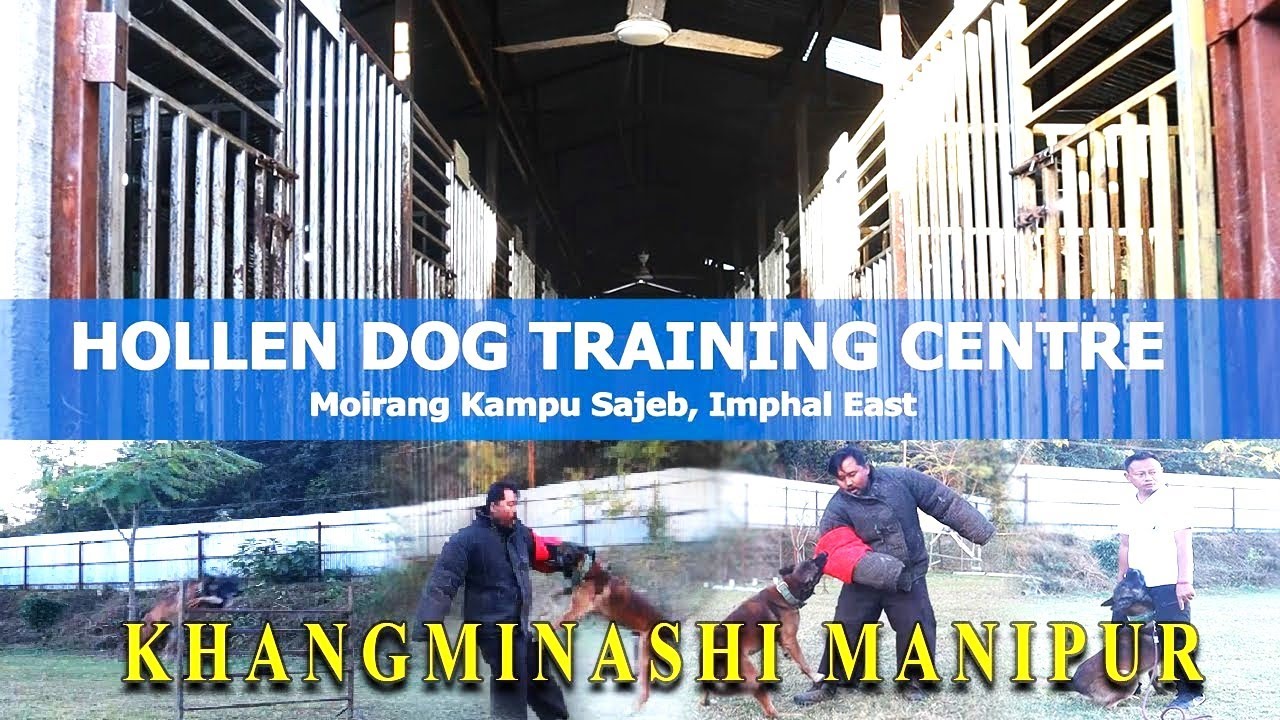 KHANGMINASHI MANIPUR || HOLLEN DOG TRAINING CENTRE ,Moirang kampu sajeb, Imphal east