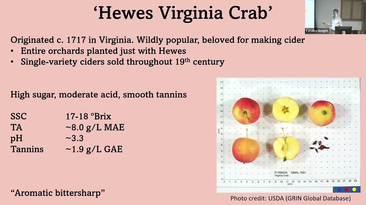 David Zakalik: Cider Apples in America: From Plymouth Rock to Prohibition