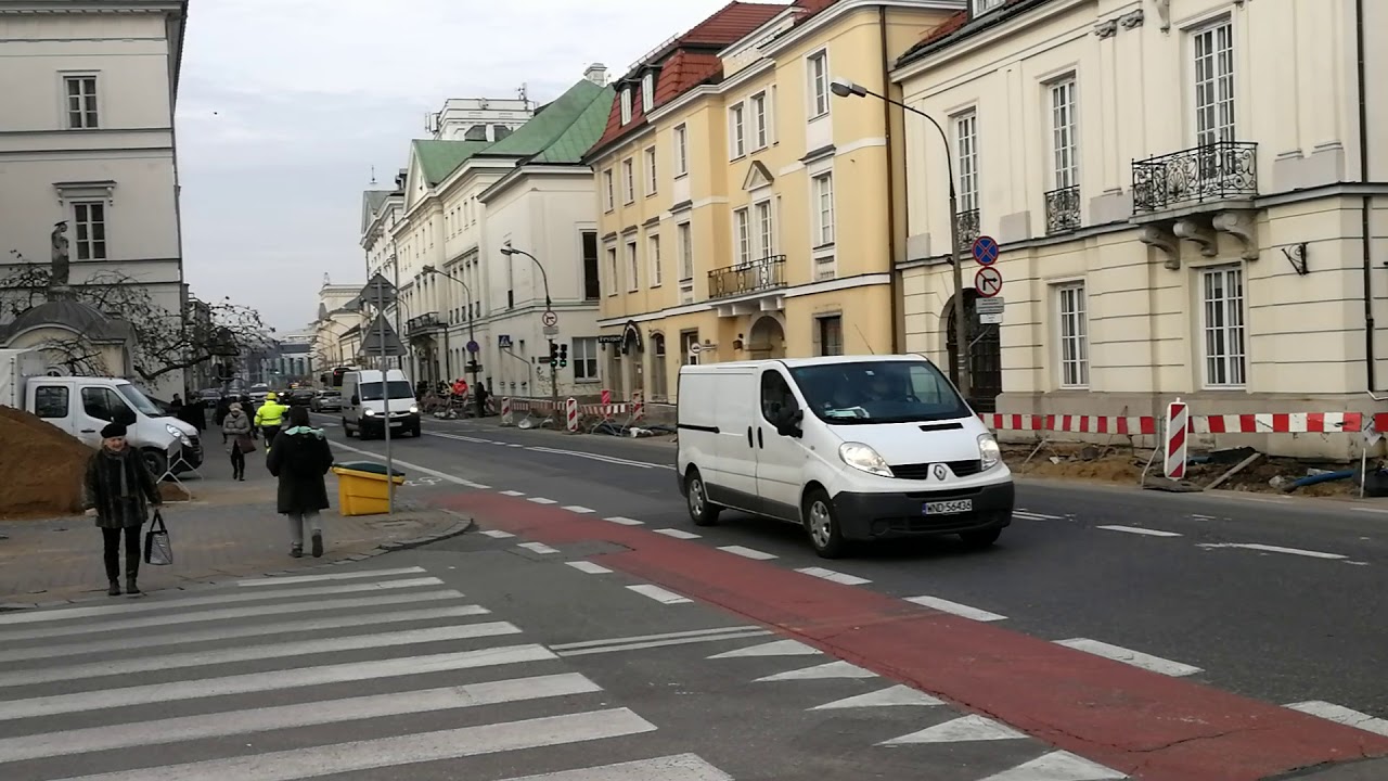 Parietaria lekarska w centrum Warszawy