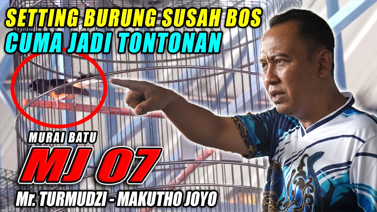 MURAI BATU MJ 07 AKSINYA JADI JUARA HATI PENONTON DI SMR ROAD SHOW FEAT NIAGA LAUT