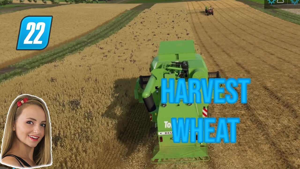 FS22|Zielonka #2 - HARVEST WHEAT